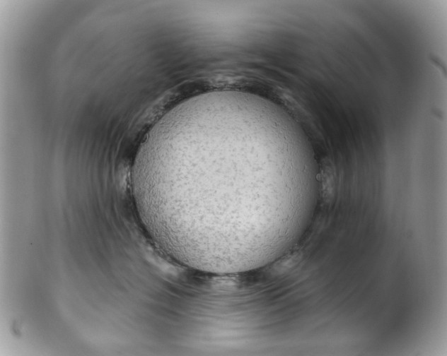 X0000099500574200806051126