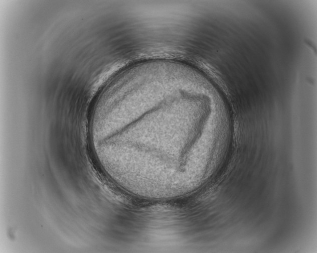 X0000099500578200806051125