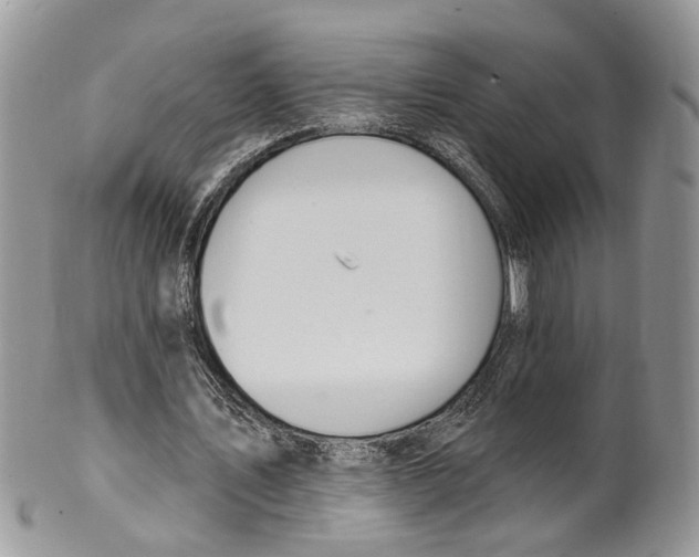 X0000099500579200806051125