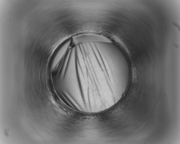 X0000099500580200806051125