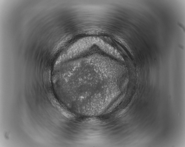 X0000099500589200806051125