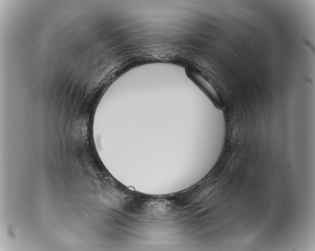 X0000099500595200806051125