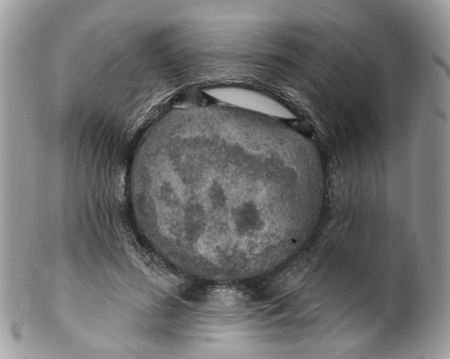 X0000099500596200806051125