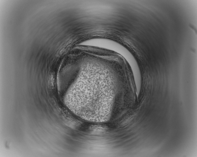 X0000099500597200806051125