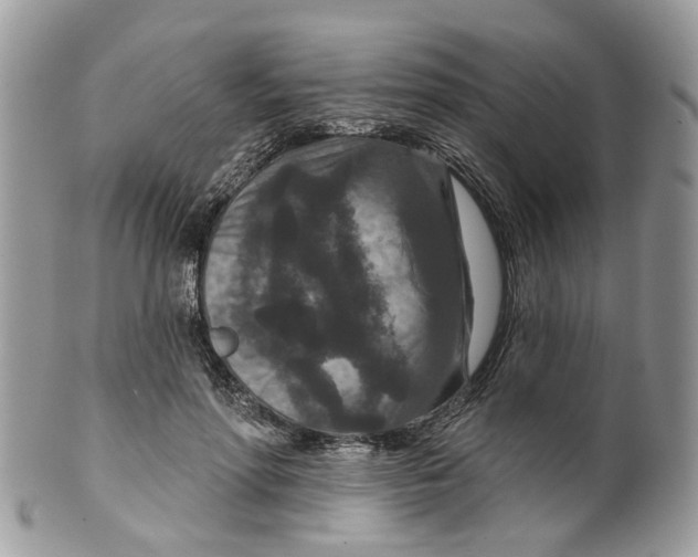 X0000099500598200806051125