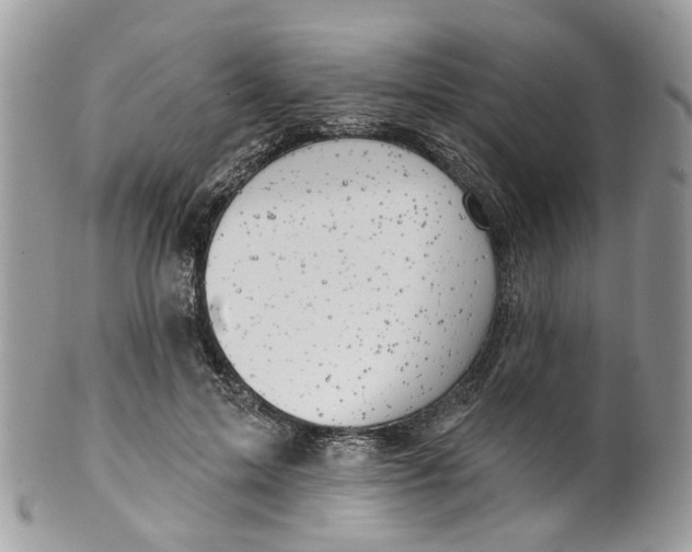 X0000099500599200806051125