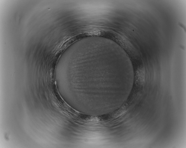 X0000099500600200806051125