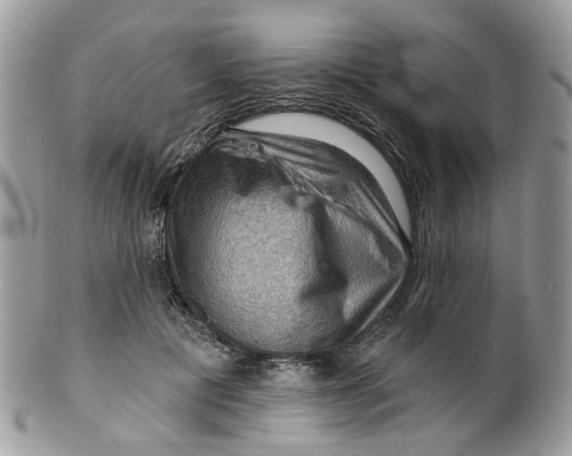 X0000099500601200806051125