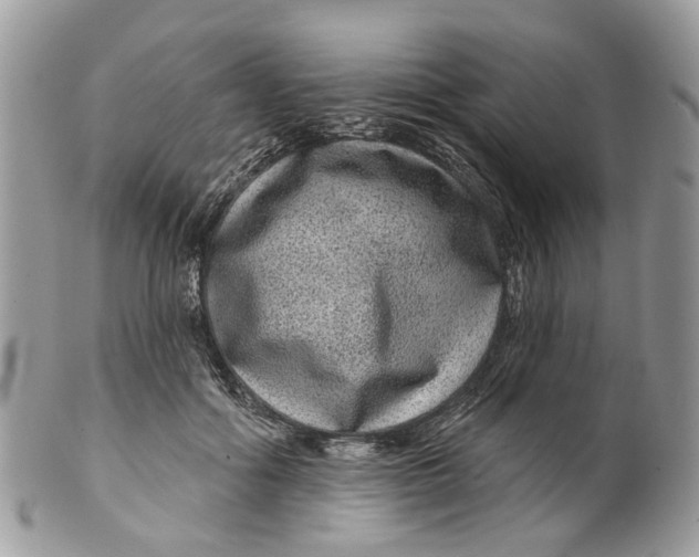 X0000099500602200806051125