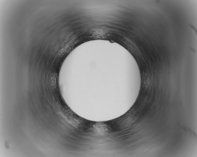 X0000099500603200806051125