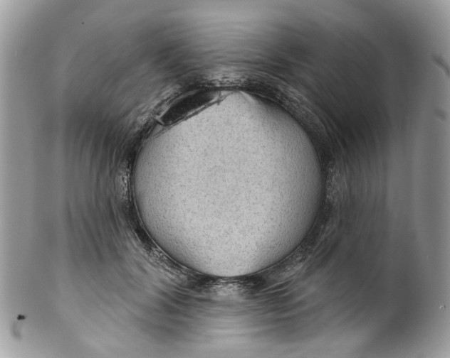 X0000099500604200806051125