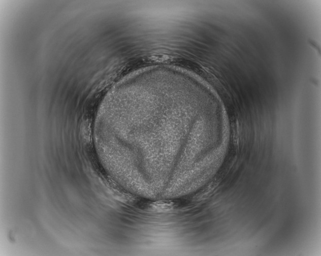 X0000099500606200806051125