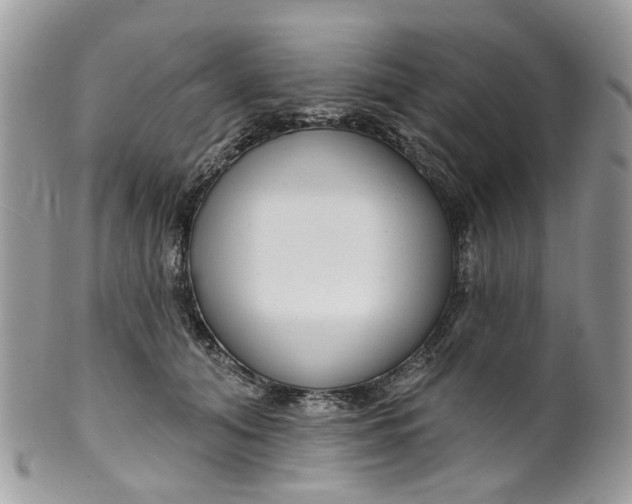 X0000099500608200806051125