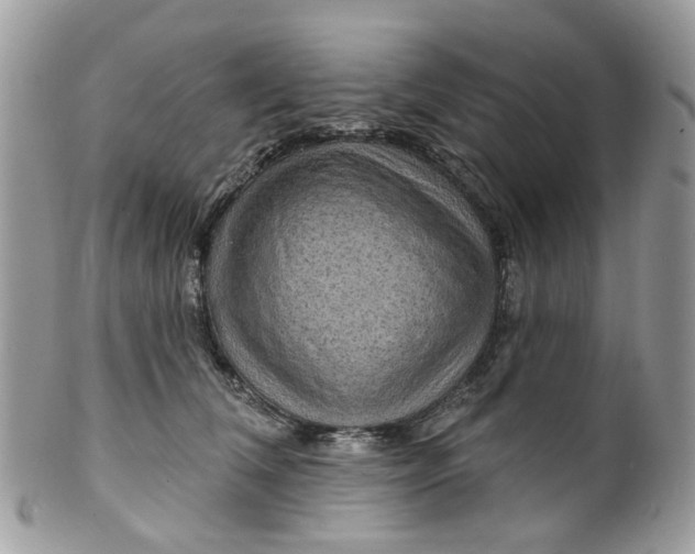 X0000099500612200806051125