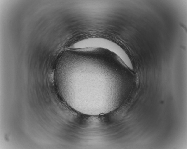 X0000099500613200806051125