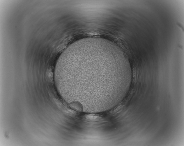 X0000099500614200806051125