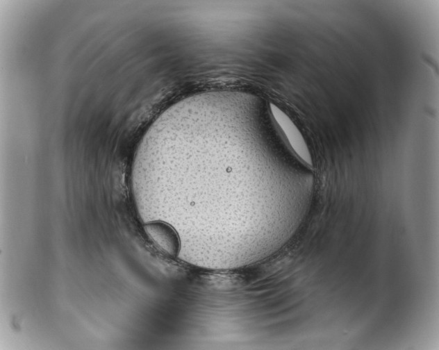 X0000099500615200806051125