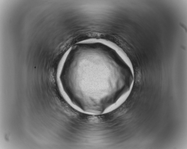 X0000099500616200806051125