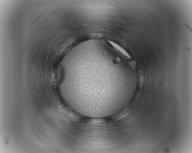 X0000099500619200806051125