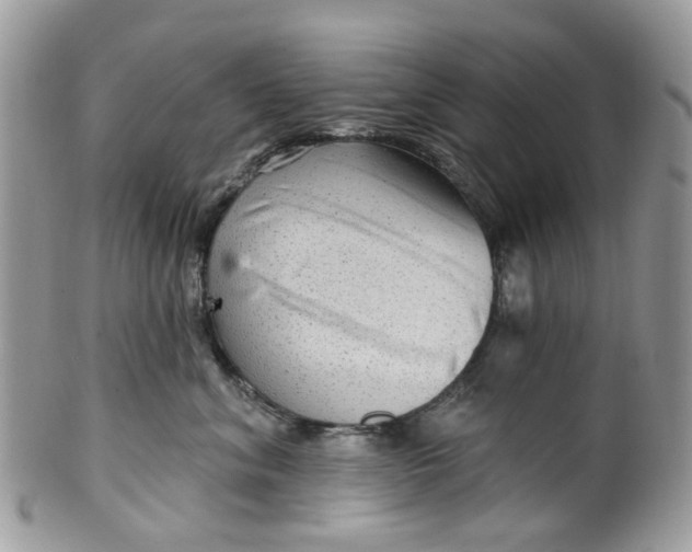 X0000099500620200806051125