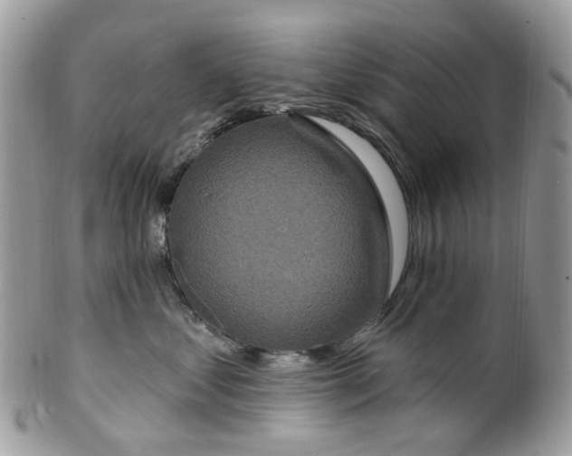 X0000099500621200806051125