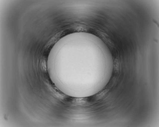 X0000099500622200806051125