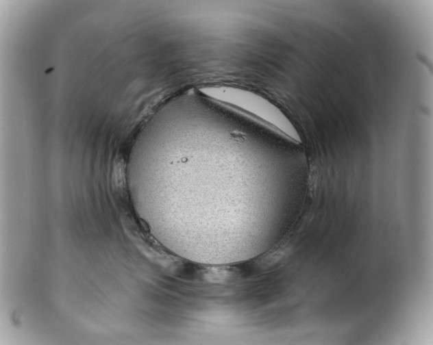 X0000099500623200806051125