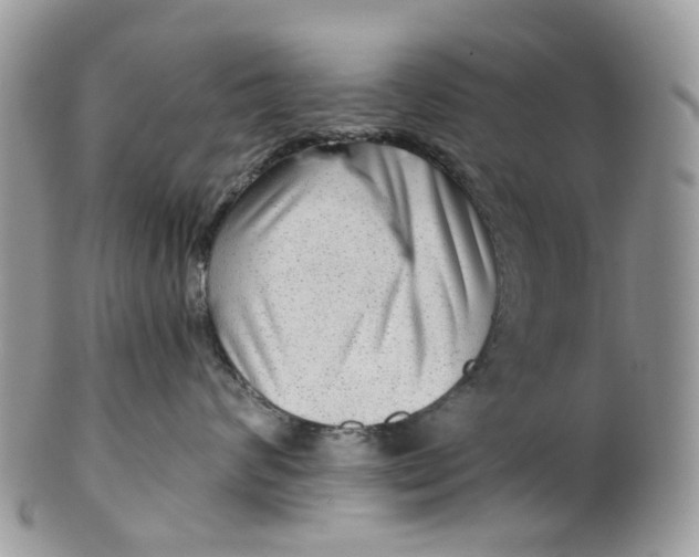 X0000099500624200806051125