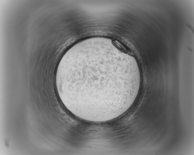 X0000099500625200806051123