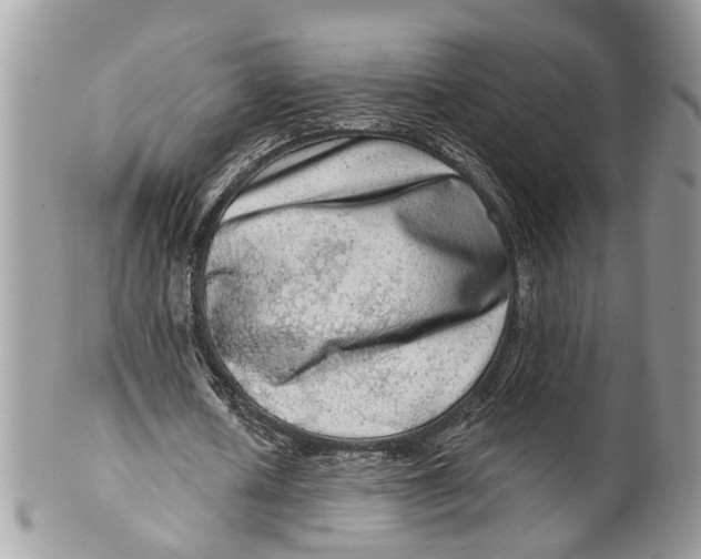 X0000099500626200806051123