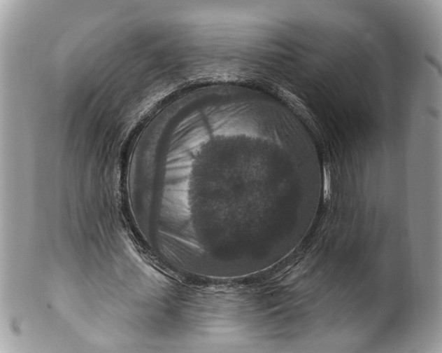 X0000099500627200806051123