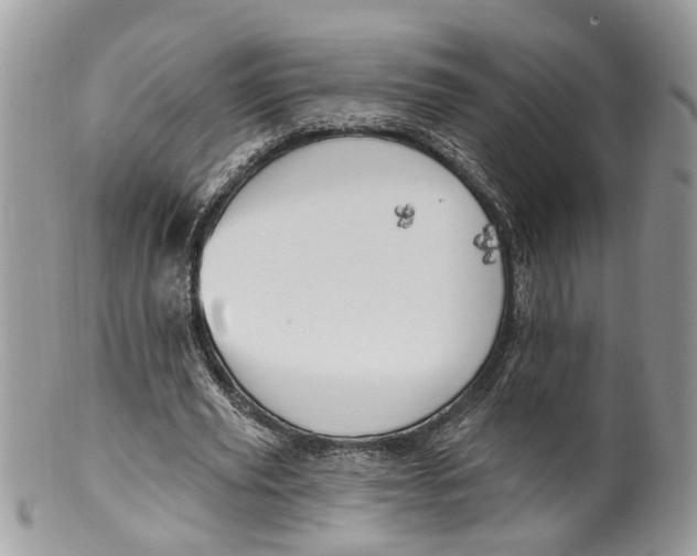 X0000099500629200806051123