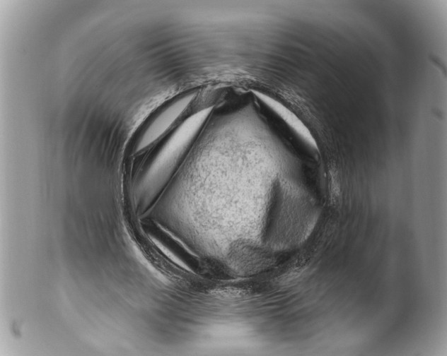 X0000099500630200806051123