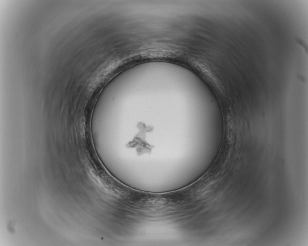 X0000099500631200806051123