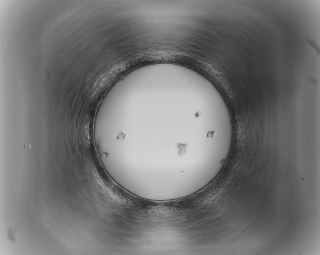 X0000099500633200806051123