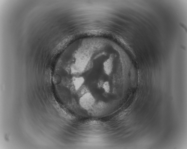 X0000099500637200806051124