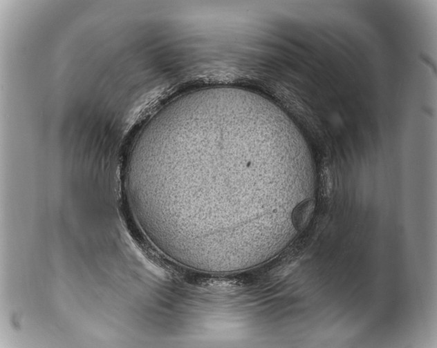 X0000099500638200806051124