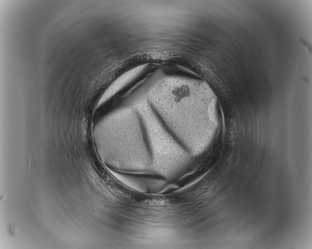 X0000099500639200806051124