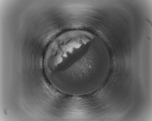 X0000099500640200806051124