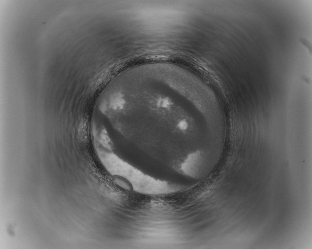 X0000099500641200806051124