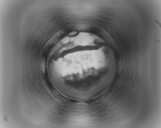 X0000099500644200806051124