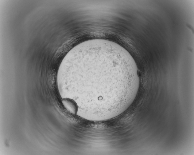 X0000099500645200806051124