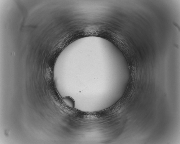 X0000099500649200806051124