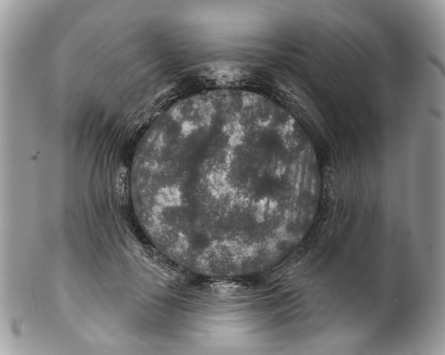 X0000099500650200806051124