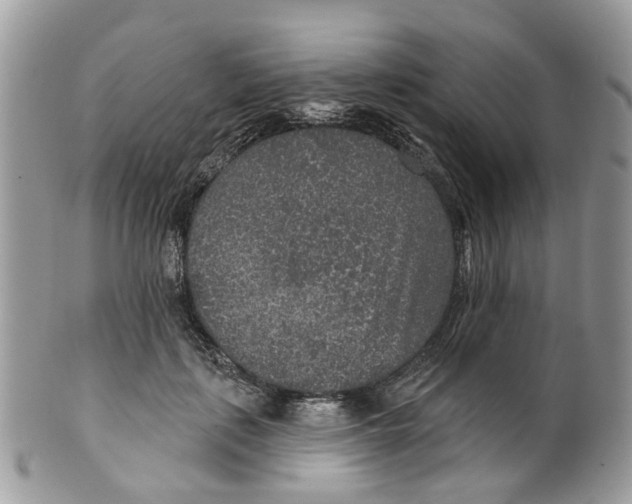 X0000099500651200806051124