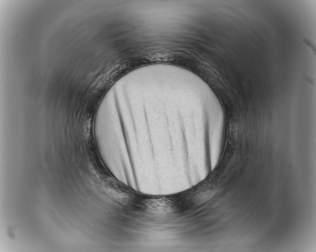 X0000099500652200806051124