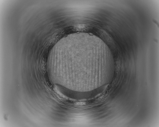 X0000099500653200806051124