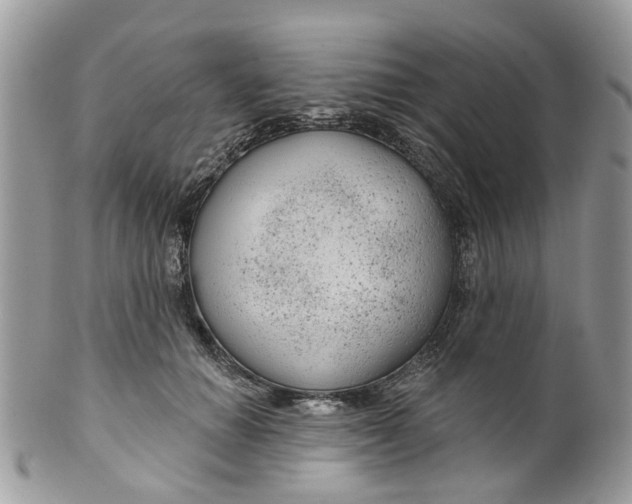 X0000099500654200806051124