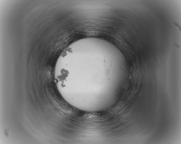 X0000099500655200806051124