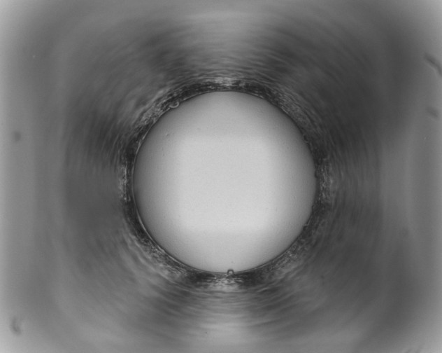 X0000099500656200806051124